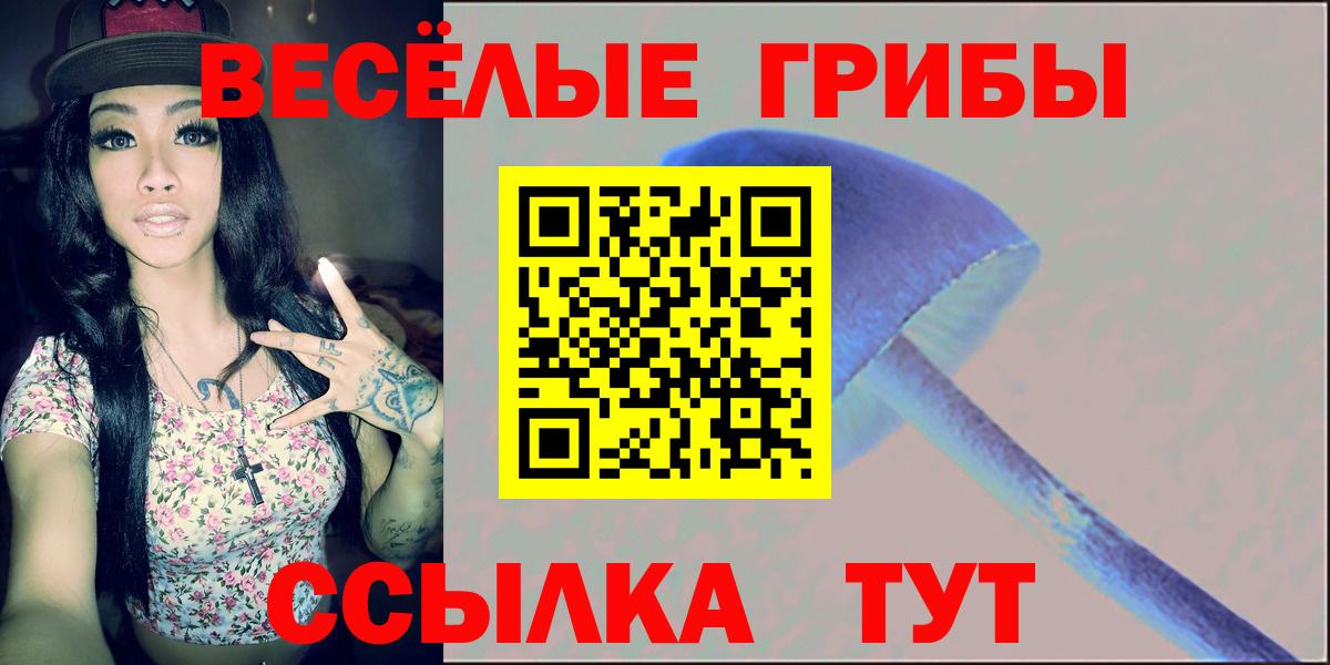 Псилоцибиновые грибы Psilocybine cubensis Ступино